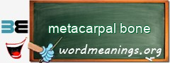 WordMeaning blackboard for metacarpal bone